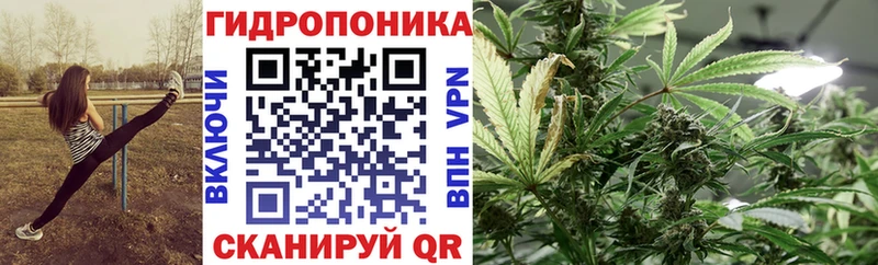 Наркошоп Ясногорск Псилоцибиновые грибы  ГАШ  Канабис 